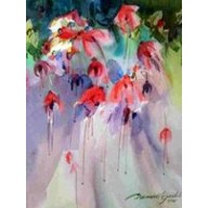 Fuchsias