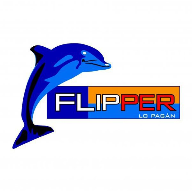 Logo Flipper.jpg