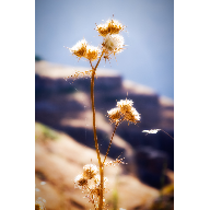 23062009-soledad-2
