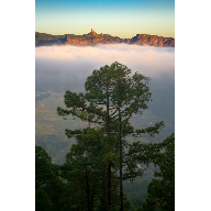 29042006-el-pino-y-el-nublo