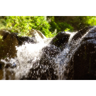 01022009-fuente-de-vida