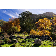 09112008-09112008-09112008-20081109-_MG_387615