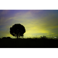 When the light dances over my colors When the light dances over my colors