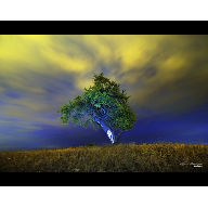 The light has come -The Light Dances Series