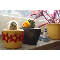 Cactus Light