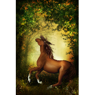 digital art horse forest woods trees painting GALLERY Anima Libera by Emma Alvarez