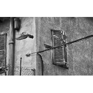 The flight of the dove