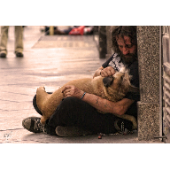 El perro del mendigo