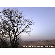 06_032_Puro invierno
