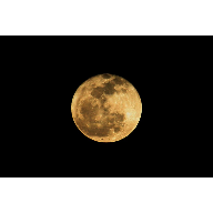 IMG_4852