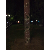 Un &aacute;rbol muy peculiar