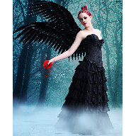 angel and the rose