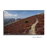 Primavera en la monta&ntilde;a 01