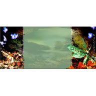 Cabecera-fondo cueva de hadas