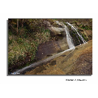 Rincones-de-primavera-XIV