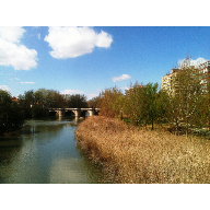 R&iacute;o Carri&oacute;n y puente de piedra