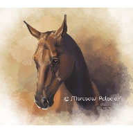 horse