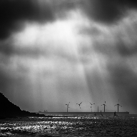 (Untitled)